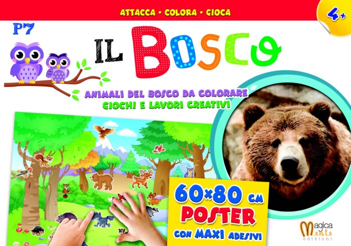 Attacca Colora Gioca – Il Bosco